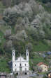 20130417_121942 Loreto e ciliegi fioriti.jpg